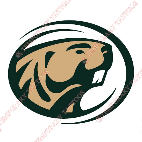 Bemidji State Beavers 2004 Customize Temporary Tattoos Stickers NO.3994